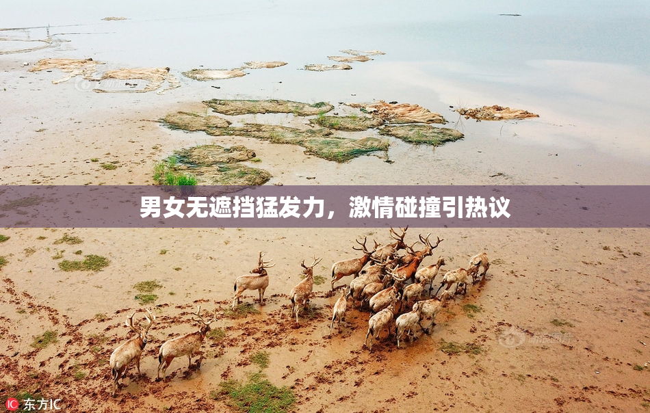 男女无遮挡猛发力，激情碰撞引热议