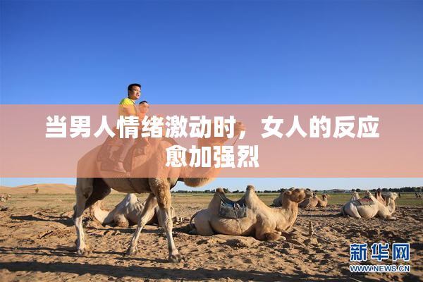 当男人情绪激动时，女人的反应愈加强烈