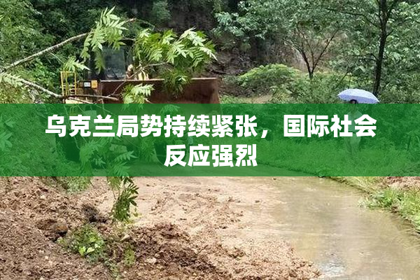 乌克兰局势持续紧张，国际社会反应强烈