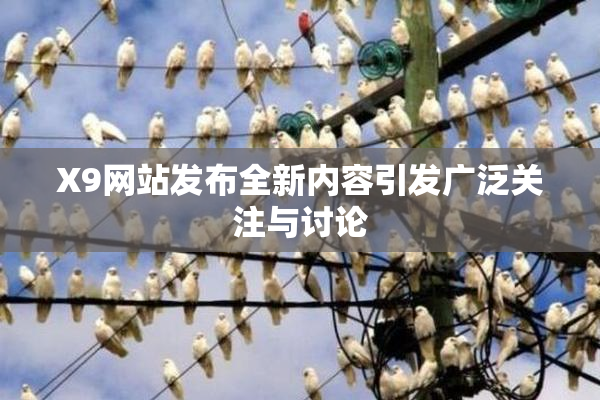 X9网站发布全新内容引发广泛关注与讨论