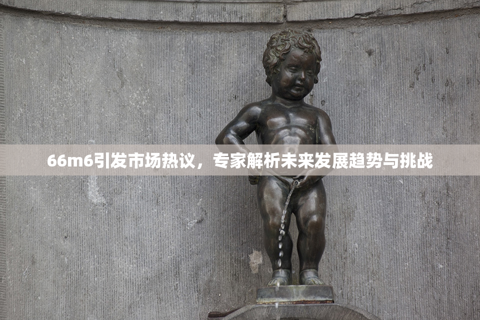 66m6引发市场热议，专家解析未来发展趋势与挑战