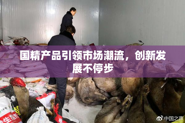 国精产品引领市场潮流，创新发展不停步