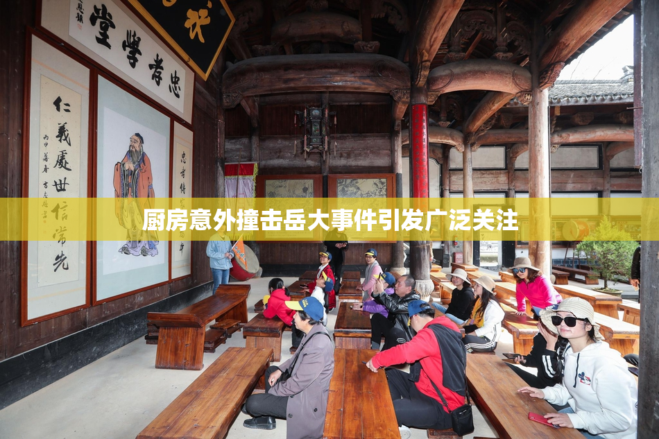 厨房意外撞击岳大事件引发广泛关注