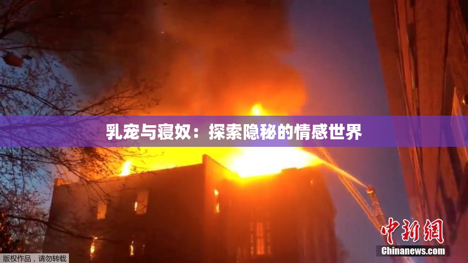乳宠与寝奴：探索隐秘的情感世界
