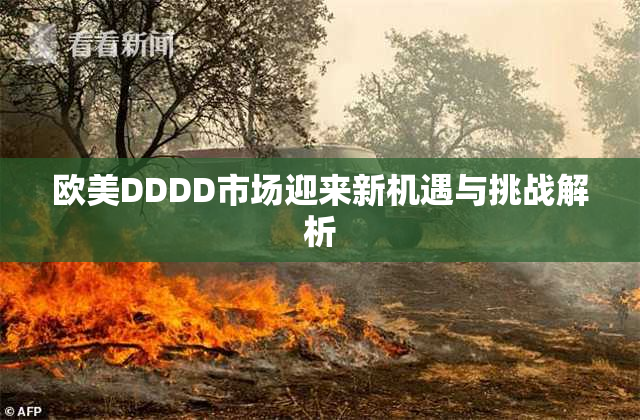 欧美DDDD市场迎来新机遇与挑战解析
