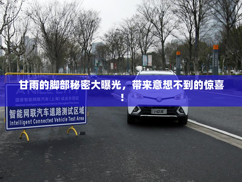 甘雨的脚部秘密大曝光，带来意想不到的惊喜！
