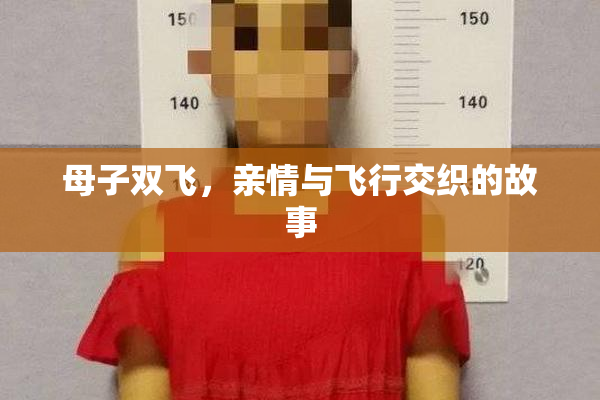 母子双飞，亲情与飞行交织的故事