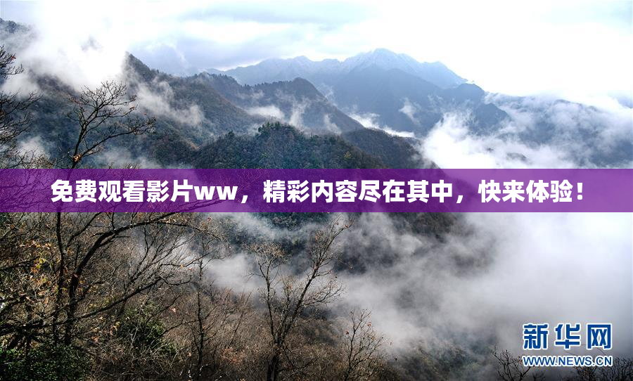 免费观看影片ww，精彩内容尽在其中，快来体验！