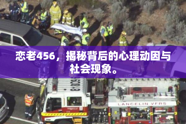 恋老456，揭秘背后的心理动因与社会现象。