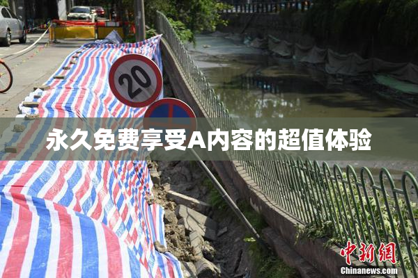 永久免费享受A内容的超值体验