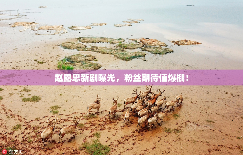 赵露思新剧曝光，粉丝期待值爆棚！