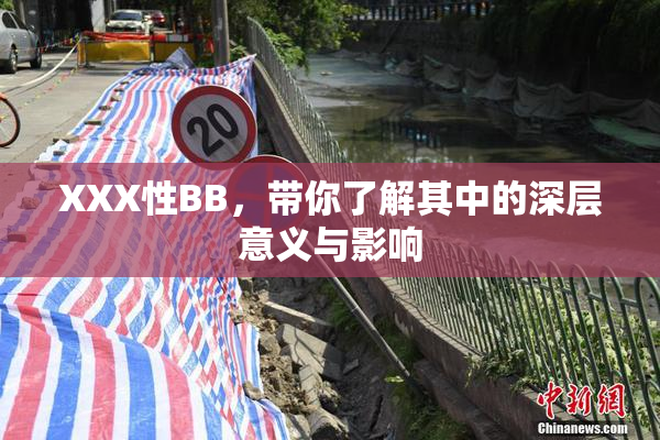 XXX性BB，带你了解其中的深层意义与影响