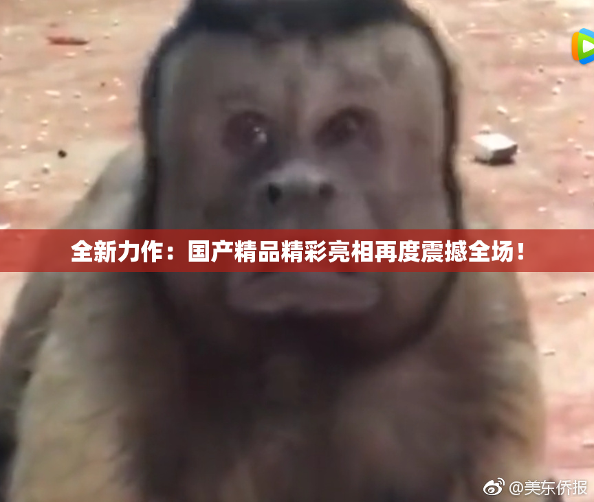 全新力作：国产精品精彩亮相再度震撼全场！
