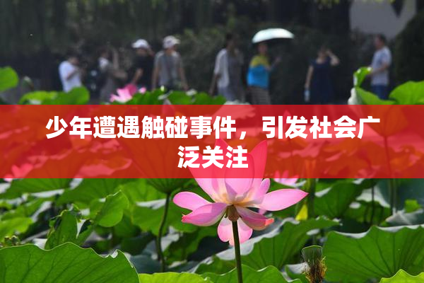 少年遭遇触碰事件，引发社会广泛关注