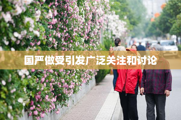 国严做受引发广泛关注和讨论
