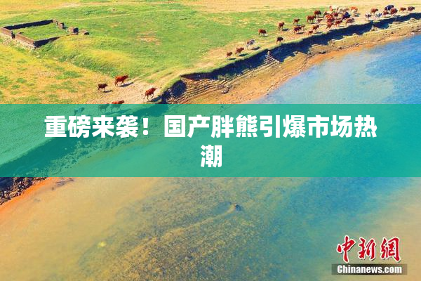 重磅来袭！国产胖熊引爆市场热潮