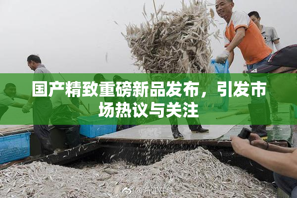 国产精致重磅新品发布，引发市场热议与关注