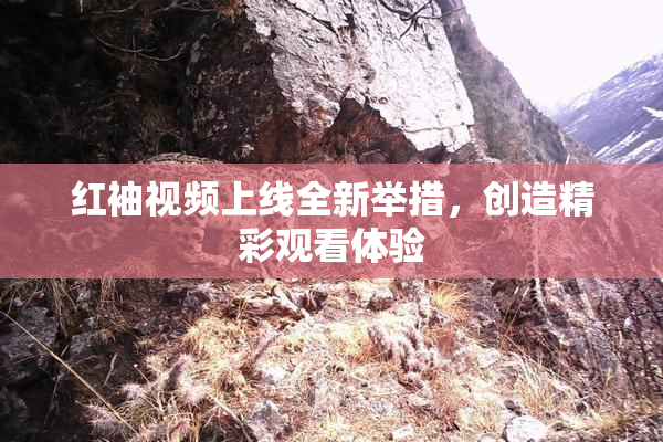 红袖视频上线全新举措，创造精彩观看体验