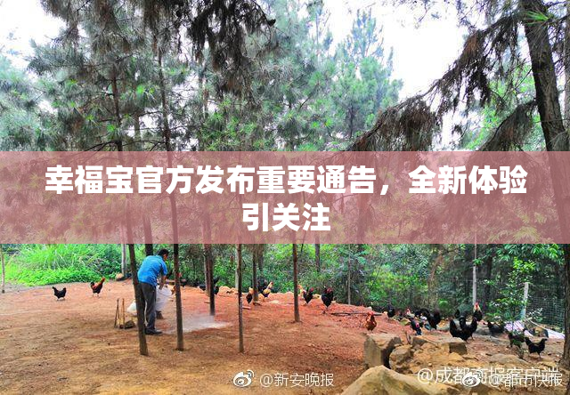 幸福宝官方发布重要通告，全新体验引关注