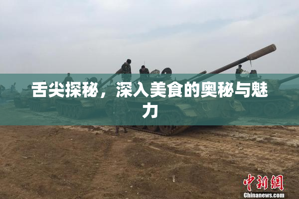 舌尖探秘，深入美食的奥秘与魅力