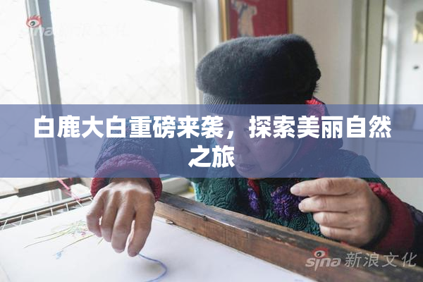 白鹿大白重磅来袭，探索美丽自然之旅