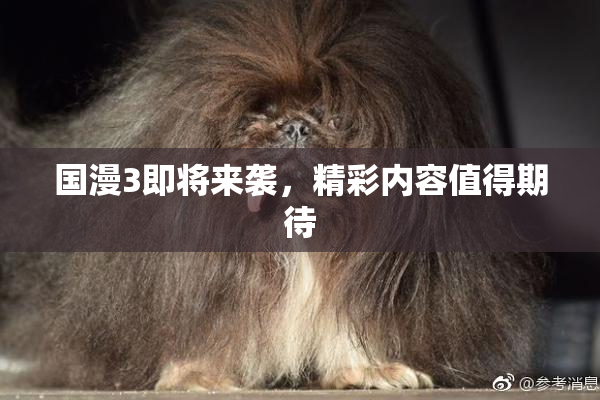 国漫3即将来袭，精彩内容值得期待