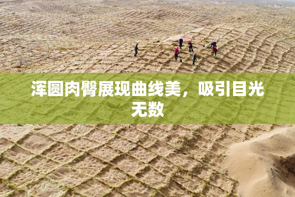 浑圆肉臀展现曲线美，吸引目光无数