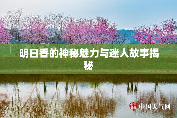 明日香的神秘魅力与迷人故事揭秘