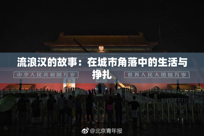 流浪汉的故事：在城市角落中的生活与挣扎