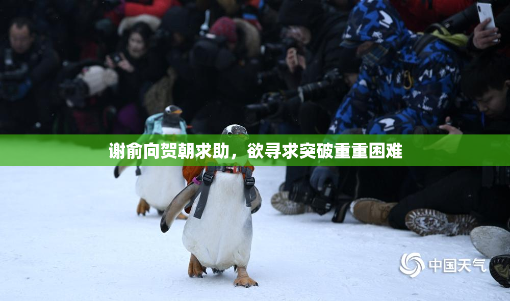 谢俞向贺朝求助，欲寻求突破重重困难