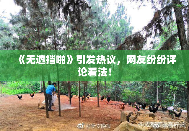 《无遮挡啪》引发热议，网友纷纷评论看法！