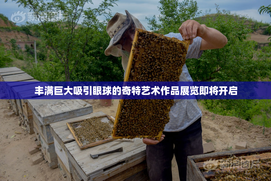 丰满巨大吸引眼球的奇特艺术作品展览即将开启