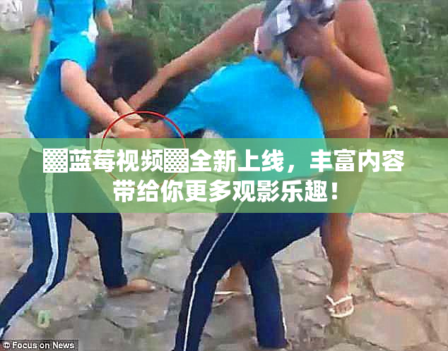 ▓蓝莓视频▓全新上线，丰富内容带给你更多观影乐趣！