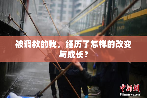 被调教的我，经历了怎样的改变与成长？
