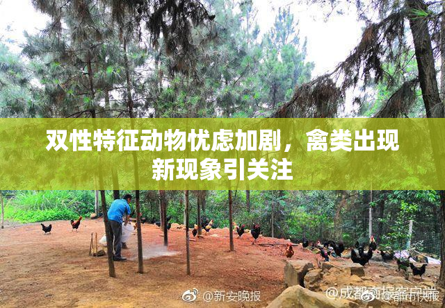 双性特征动物忧虑加剧，禽类出现新现象引关注
