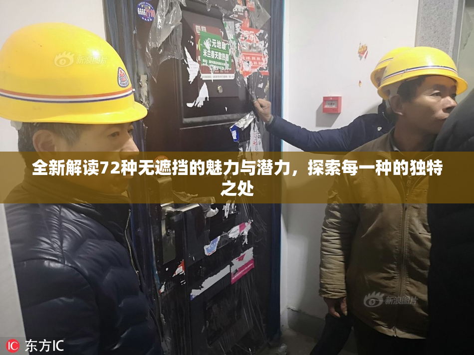 全新解读72种无遮挡的魅力与潜力，探索每一种的独特之处
