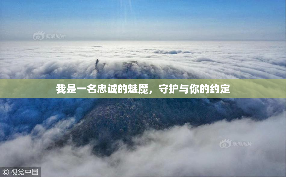 我是一名忠诚的魅魔，守护与你的约定