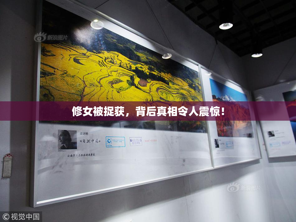 修女被捉获，背后真相令人震惊！