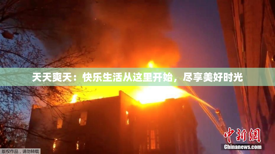 天天爽天：快乐生活从这里开始，尽享美好时光