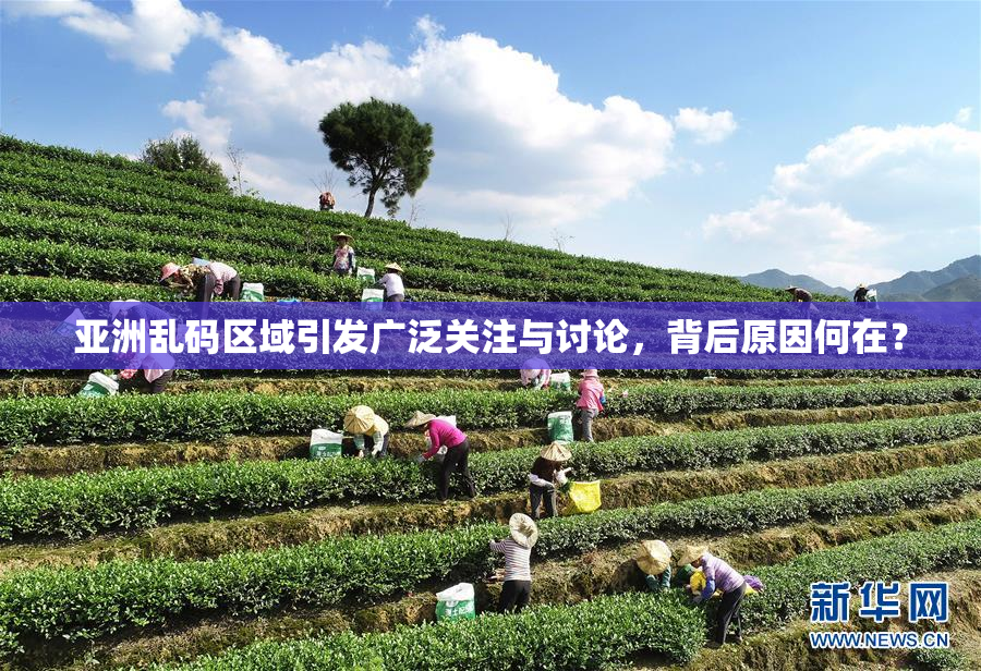 亚洲乱码区域引发广泛关注与讨论，背后原因何在？