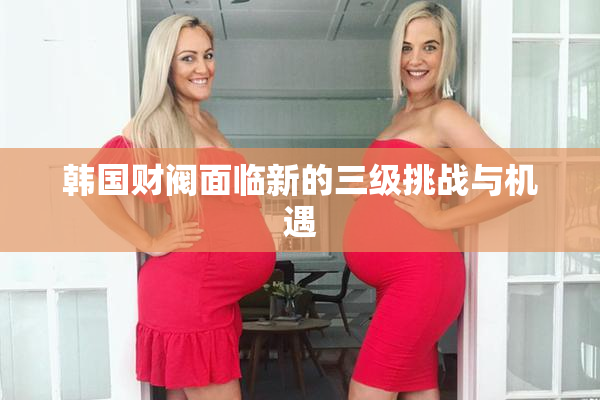 韩国财阀面临新的三级挑战与机遇