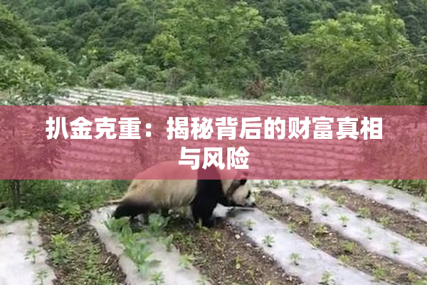 扒金克重：揭秘背后的财富真相与风险