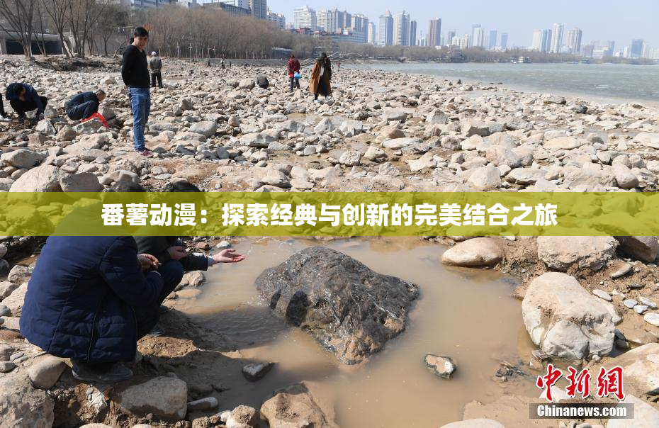 番薯动漫：探索经典与创新的完美结合之旅
