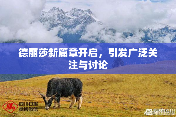 德丽莎新篇章开启，引发广泛关注与讨论