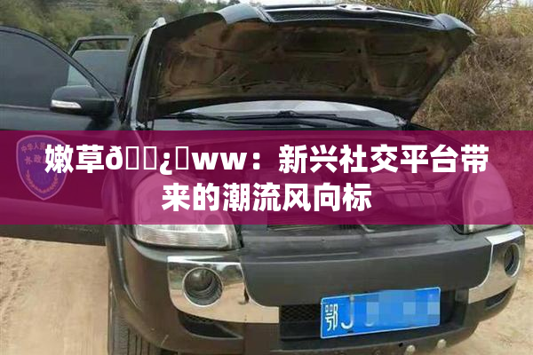 嫩草🌿‌ww：新兴社交平台带来的潮流风向标