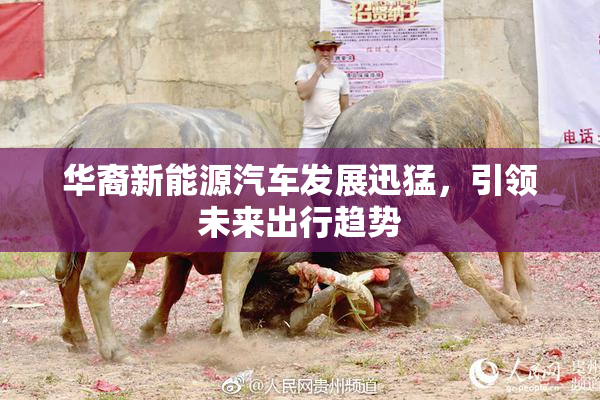华裔新能源汽车发展迅猛，引领未来出行趋势