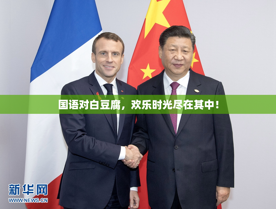 国语对白豆腐，欢乐时光尽在其中！