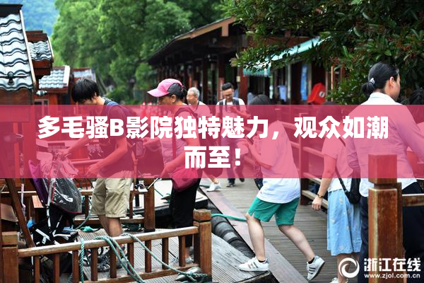 多毛骚B影院独特魅力，观众如潮而至！