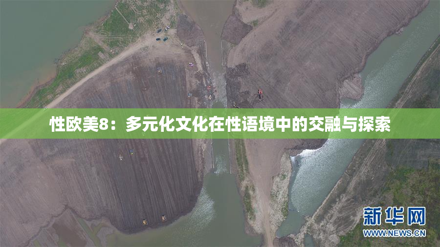 性欧美8：多元化文化在性语境中的交融与探索