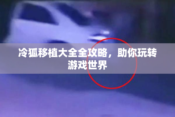 冷狐移植大全全攻略，助你玩转游戏世界
